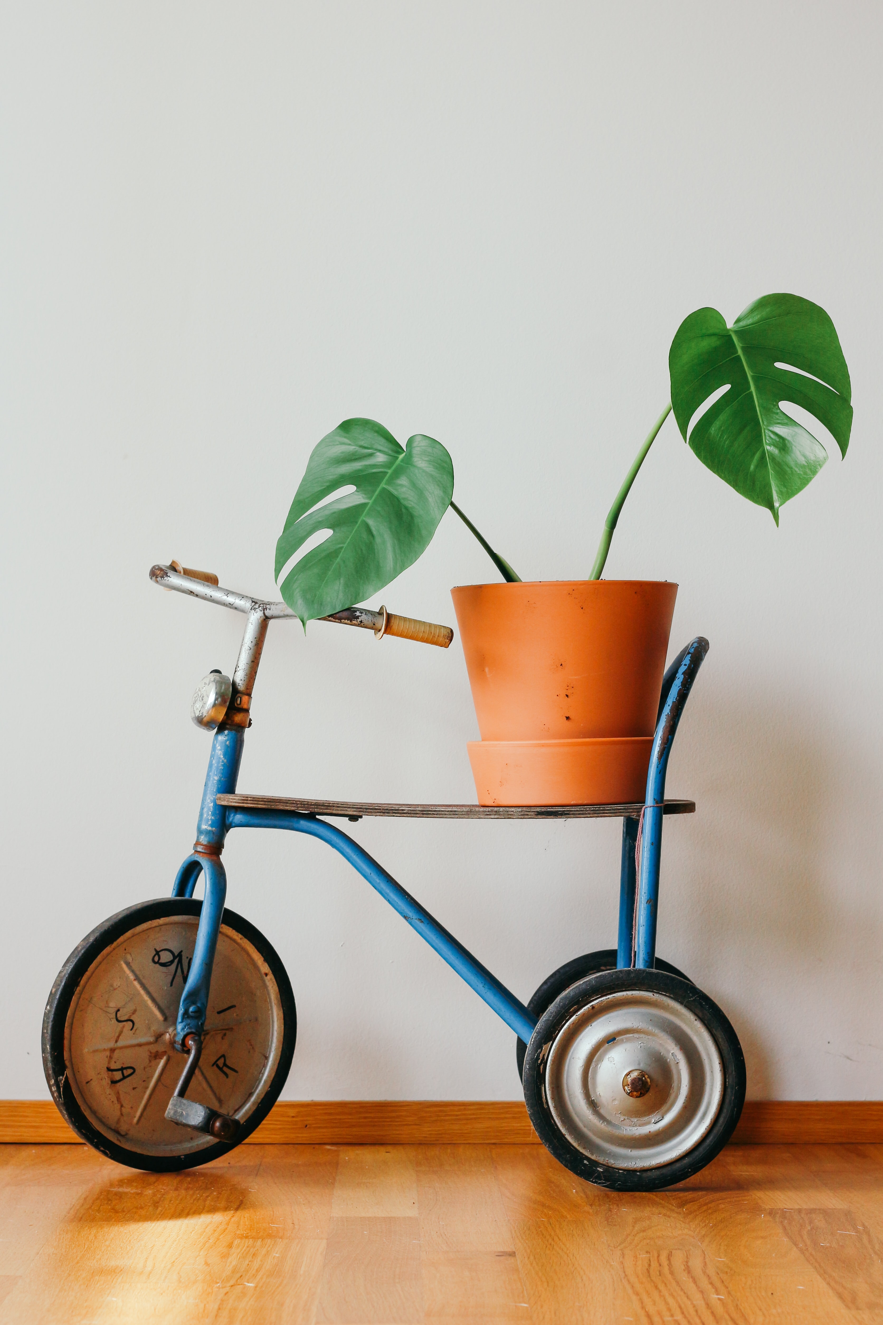 Blaues Kinderfahrrad mit Blumentopf auf dem Sattel