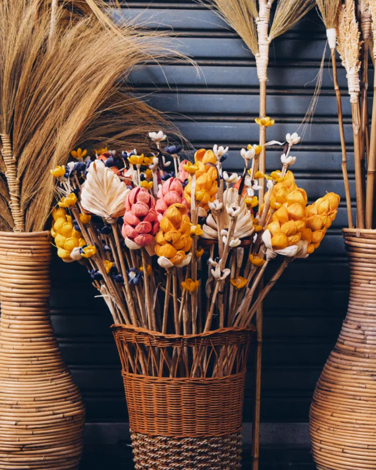 Dekoratives Bild des Dienstes Beratung Zungenband Kinder