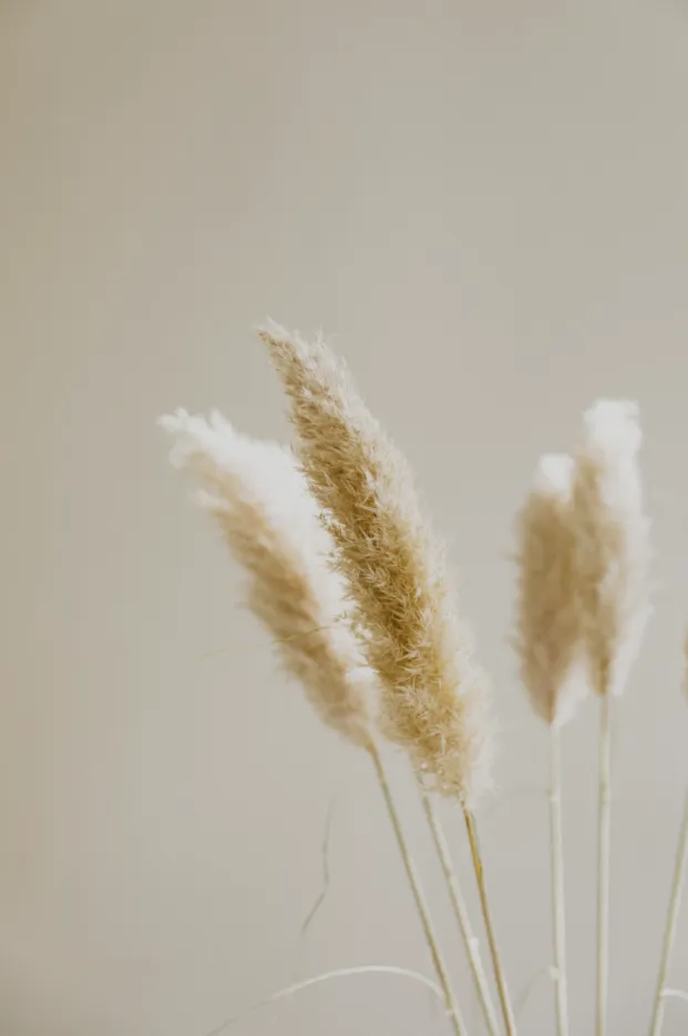 Dekoratives Bild des Dienstes Einzelberatung Stimme & Prävention