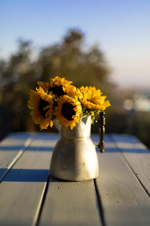 Dekoratives Bild des Dienstes Coaching der Eltern
