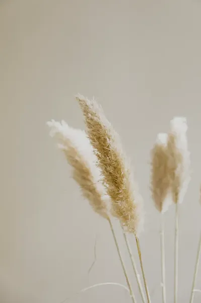  Dekoratives Bild des Dienstes Einzelberatung Stimme & Prävention